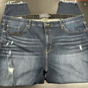 Torrid Premium Dark Distressed Blue Jeans